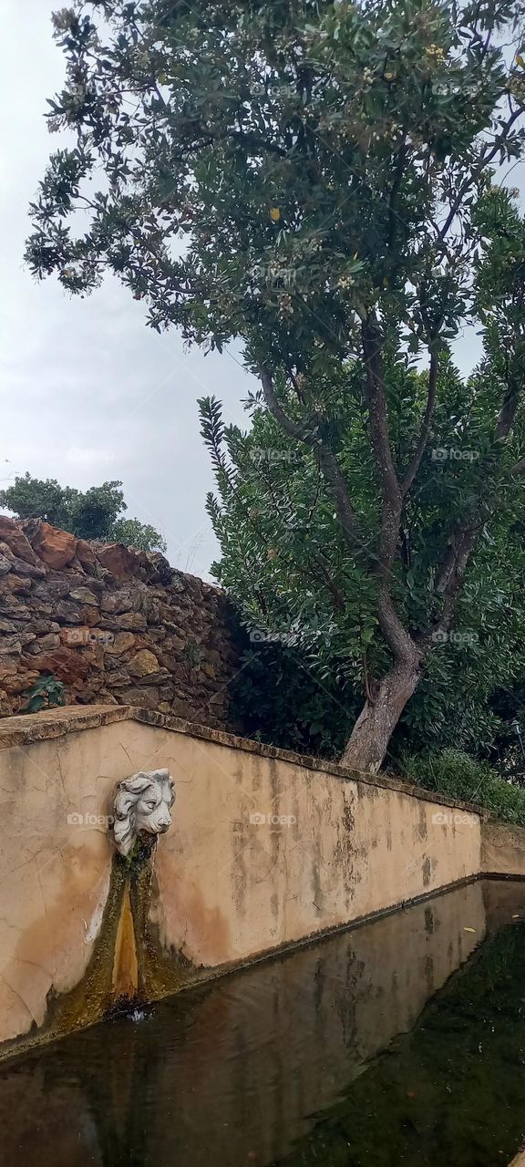 El color de Noviembre