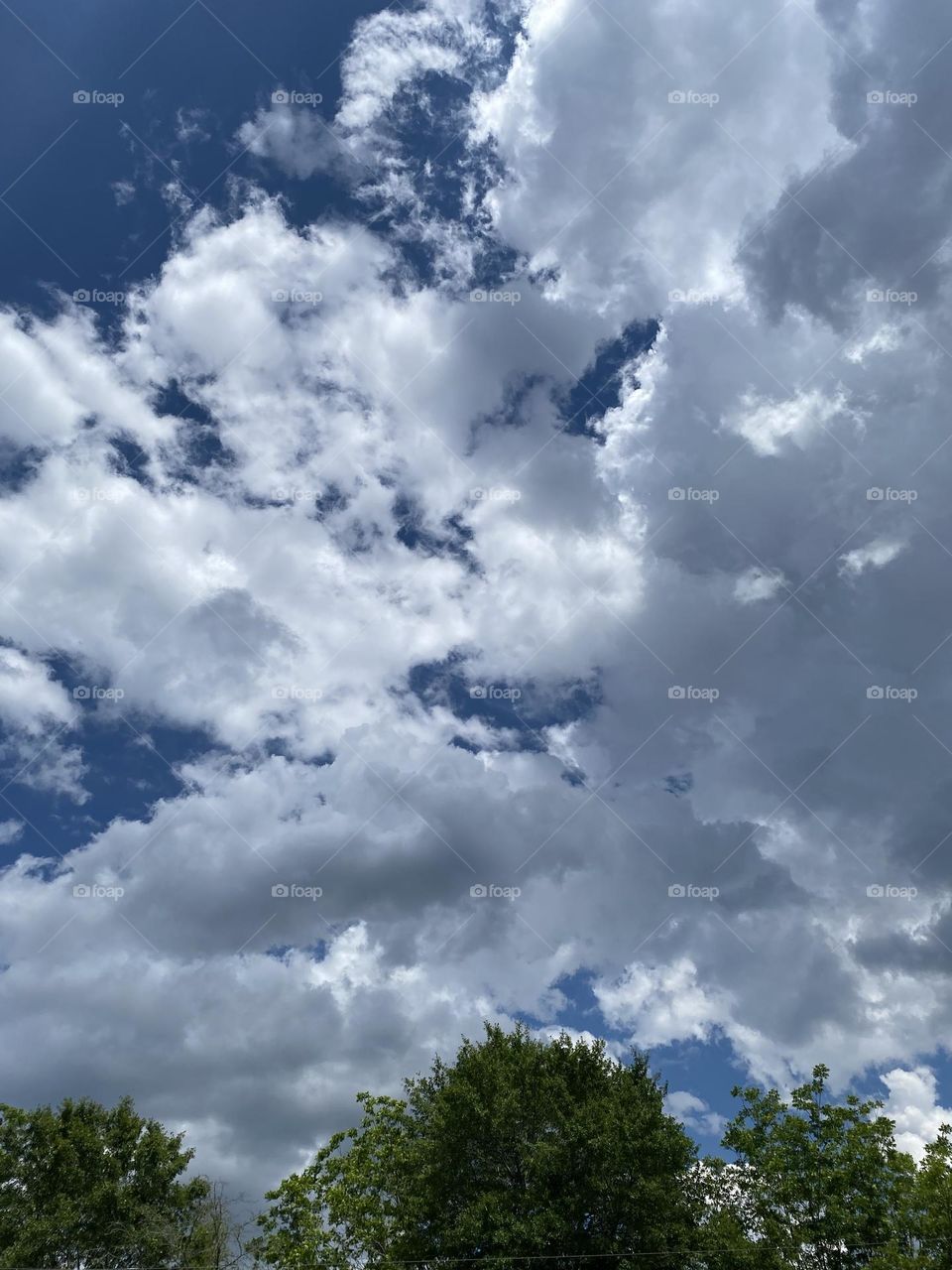 A beautiful day to be out in it 