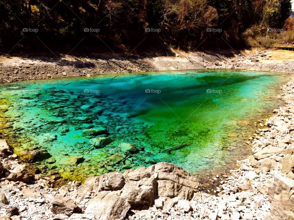 Magic water, pond, nature... 