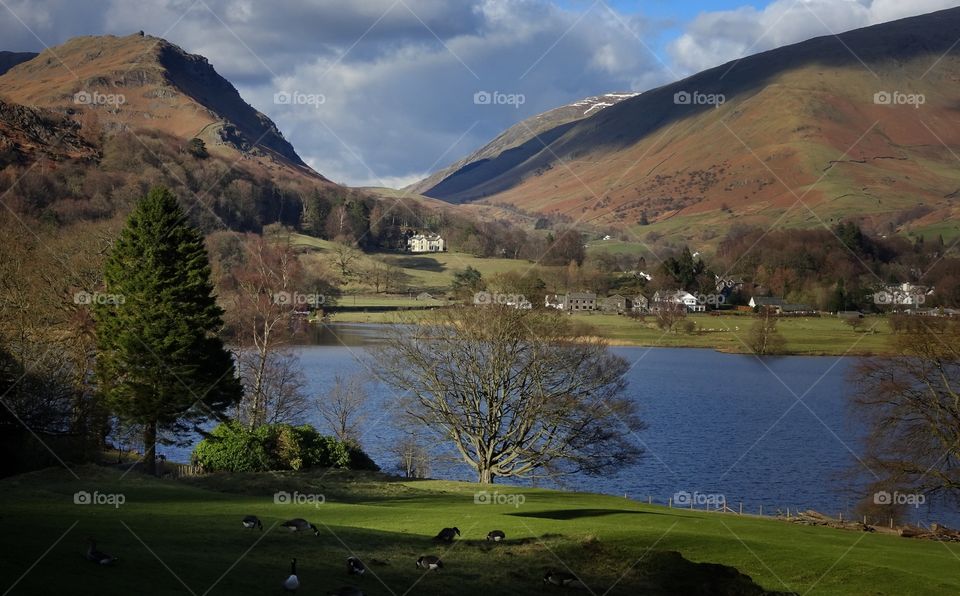 Scenics view of nature