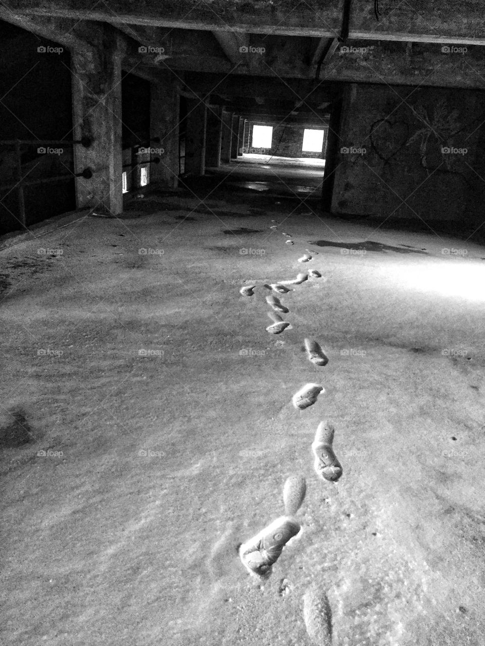 Lyon mountain footprints 