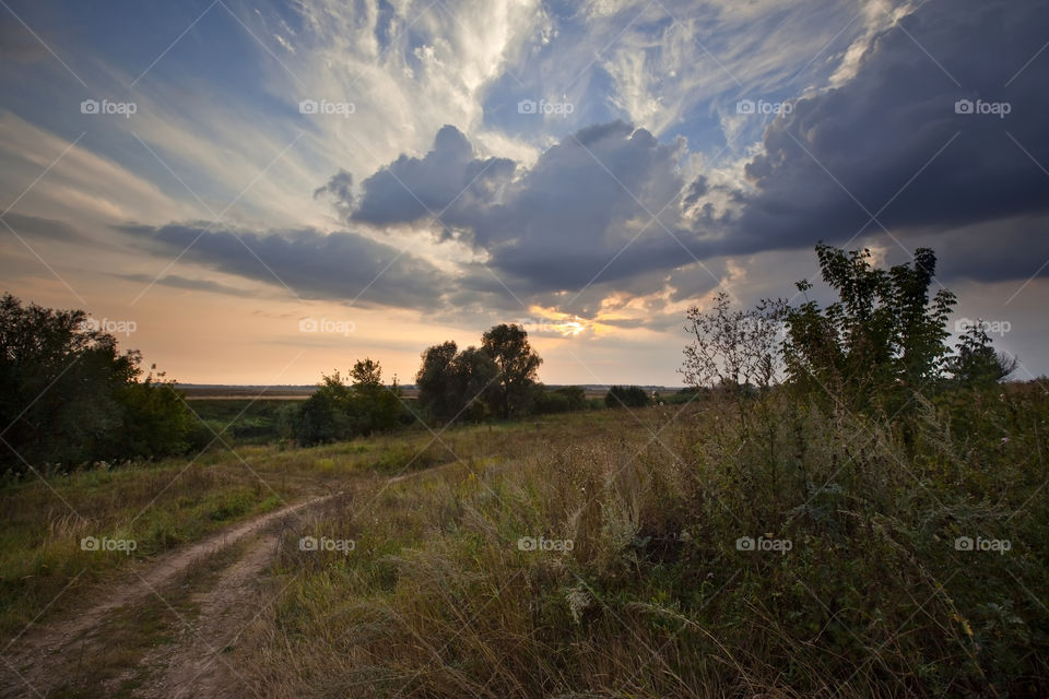 Summer landscape at cloudy day