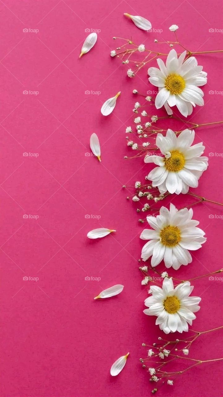 A very beautiful picture, and there is no better picture than it. There is no better picture of green herbs and colorful, red and white roses than it. Glory be to God, the natural and picturesque view, and there is no more wonderful picture than it.