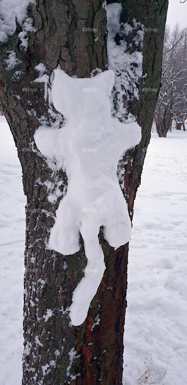 A snow kitty in a tree. Children's creativity in winter.