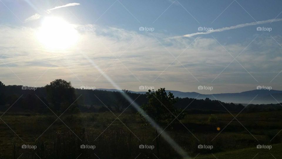 nature. caught the sun