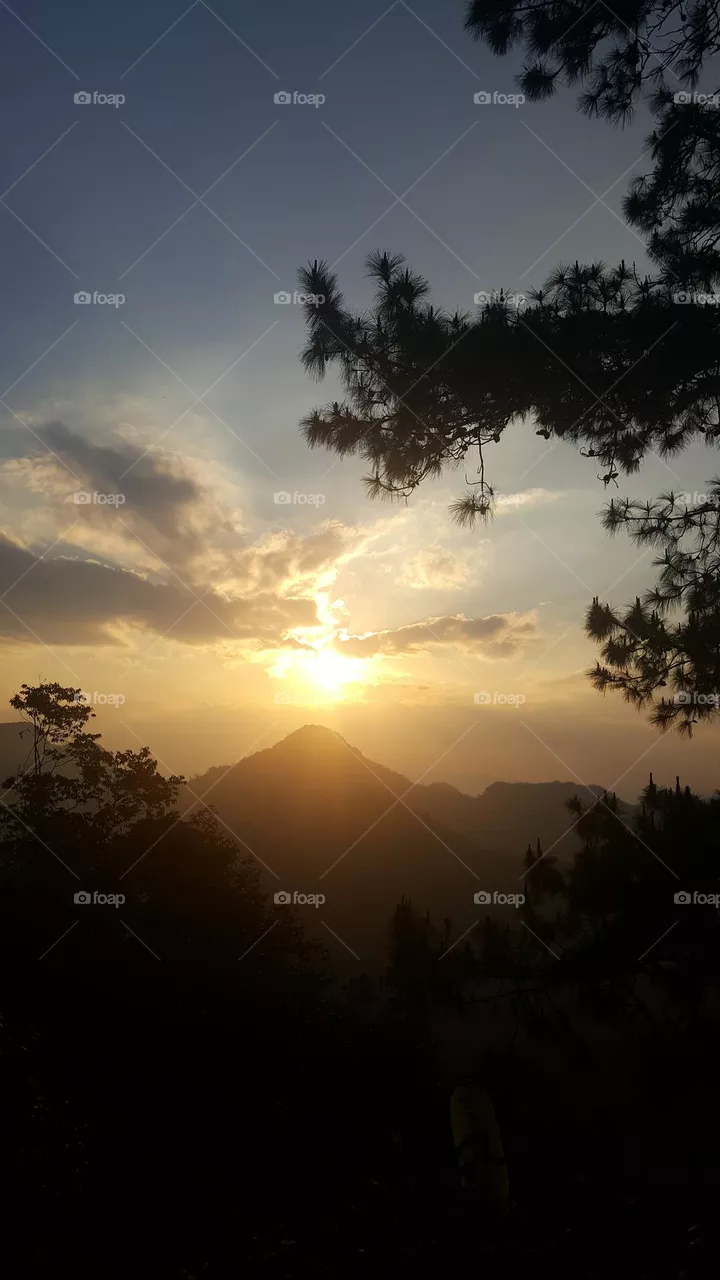 evening atmosphere