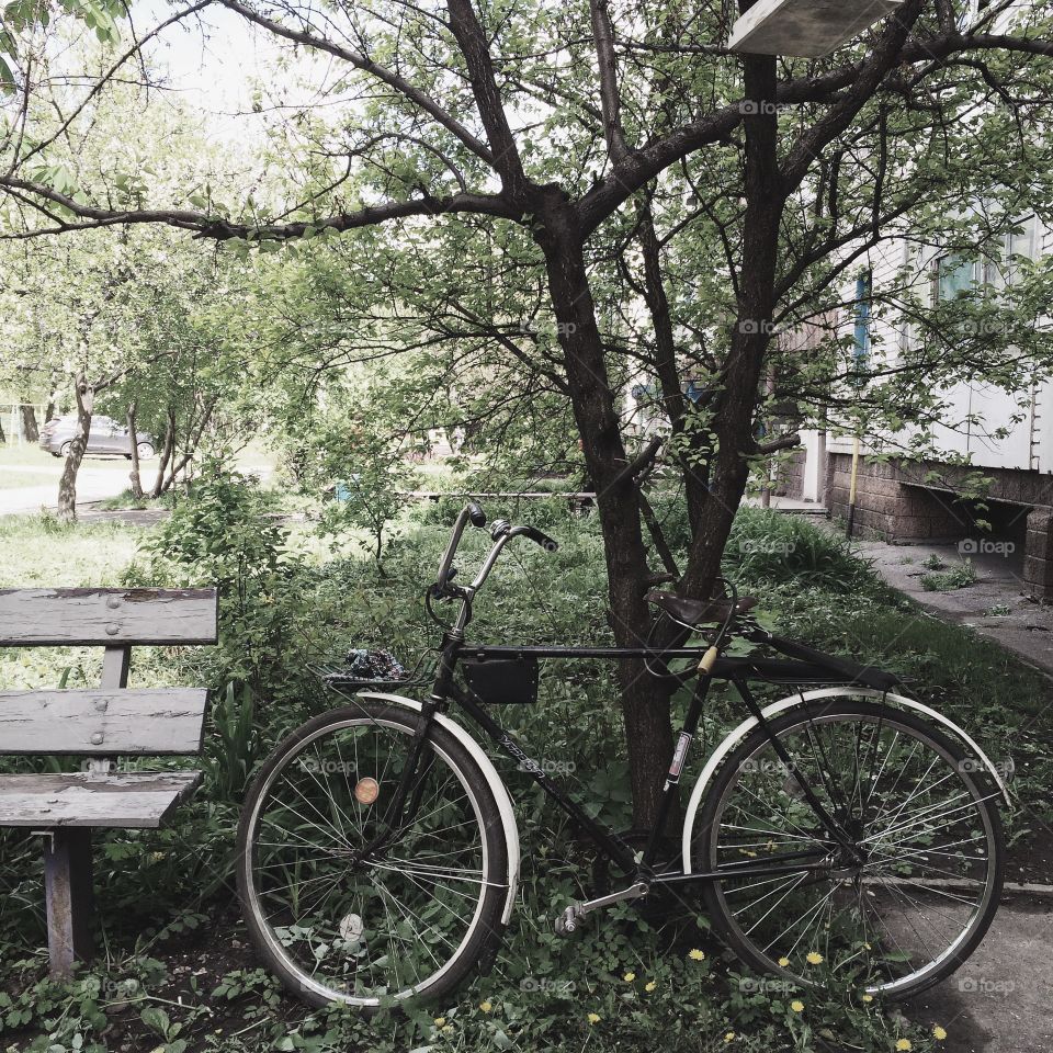 Bicycle on the street