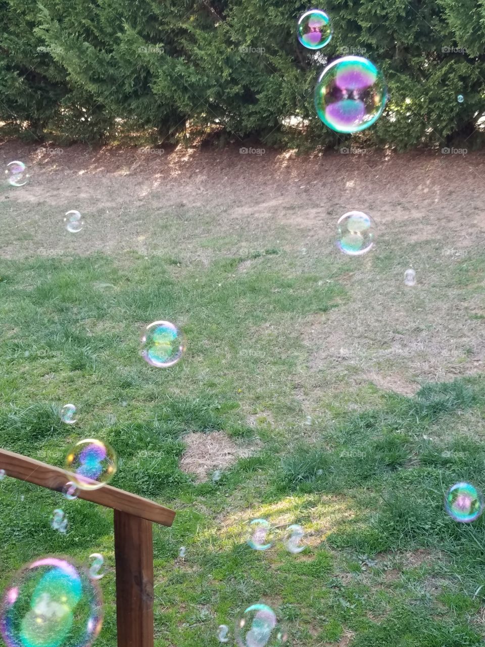 Bubbles