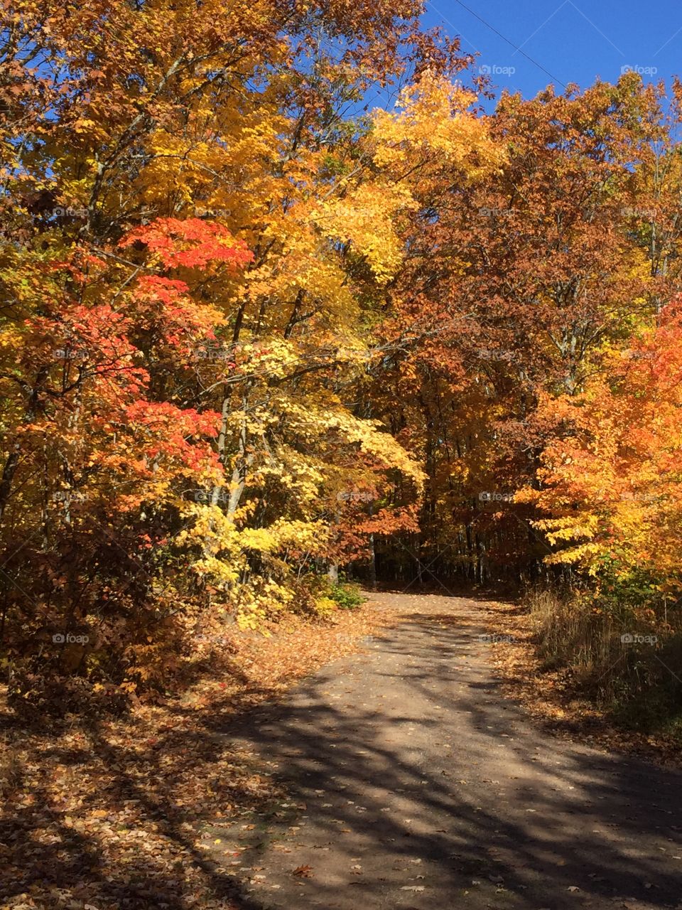 A road less traveled in the fall