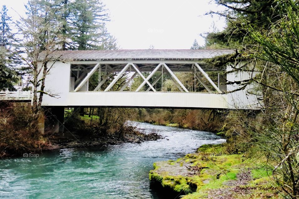 Hannah Covered Bridge Over Winding Thomas Creek. 1936