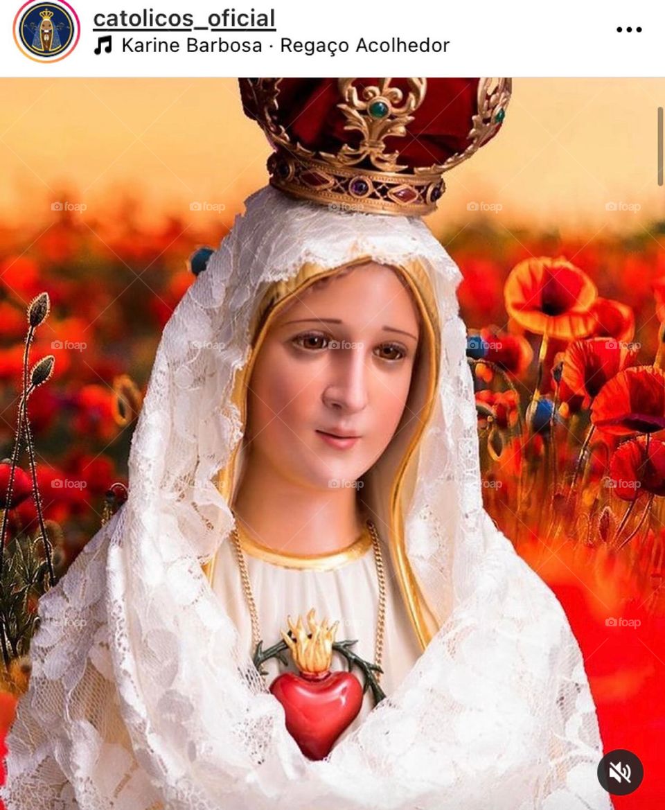 🙏 🇪🇸 Oh Maria, ruega por nosotros que recurrimos a ti.  Amén.  🇧🇷 Ó Maria, Nossa Senhora, rogai por nós que recorremos a vós. Amém. / 🇺🇸 O Mary, pray for us that we turn to you.  Amen. / 🇮🇹 O Madonna, prega per noi che ci rivolgiamo a te. Amen. 
