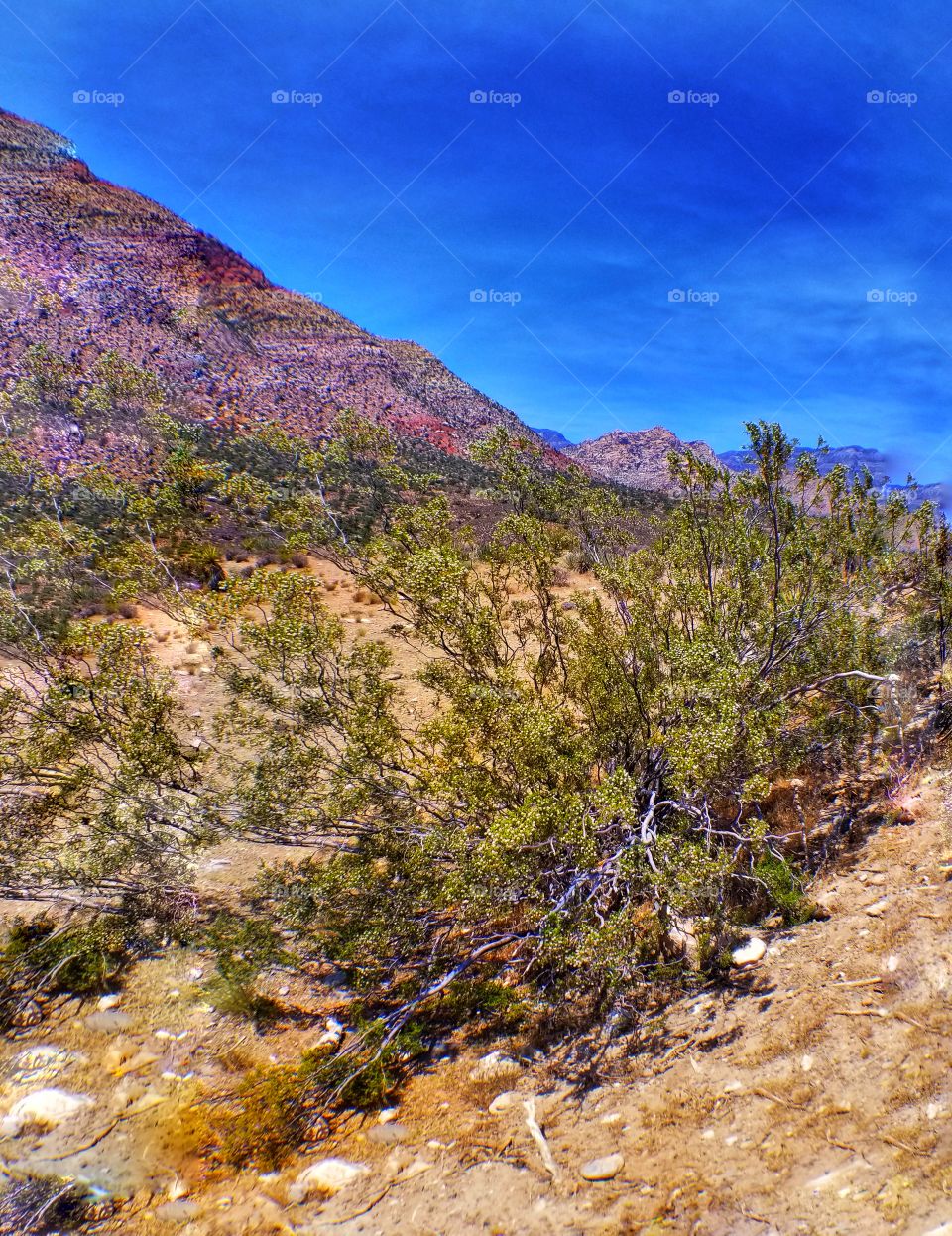 Red Rock Canyon