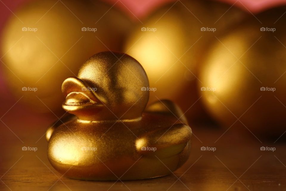 golden eggs and a golden duckling