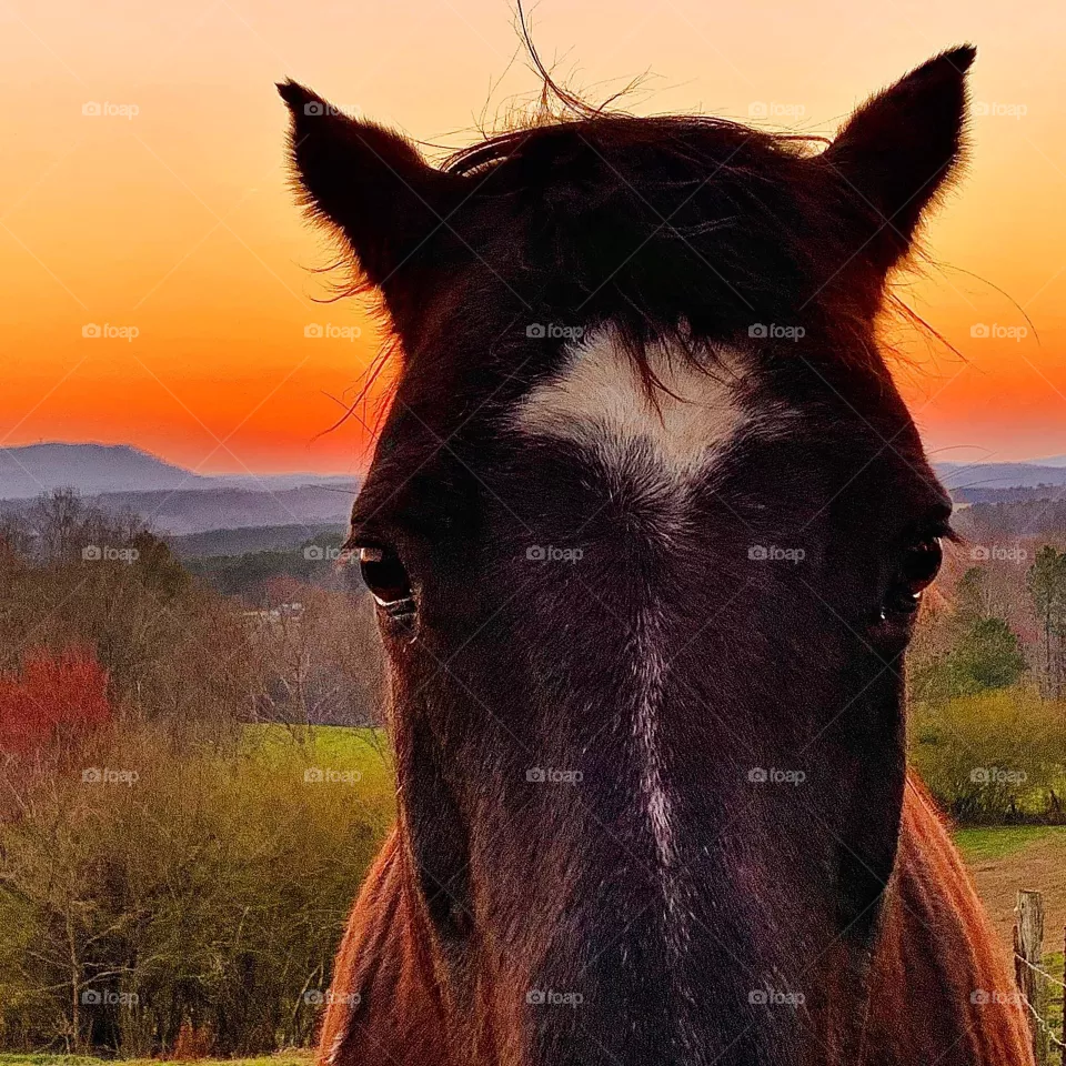 A look at sunset 
