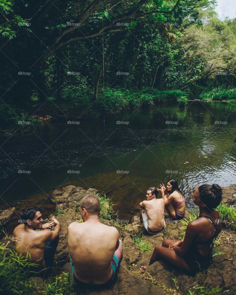 Jungle meetings 