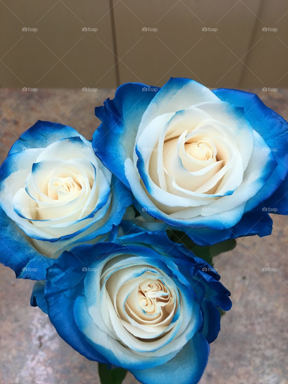 Flowers for my girlfriend