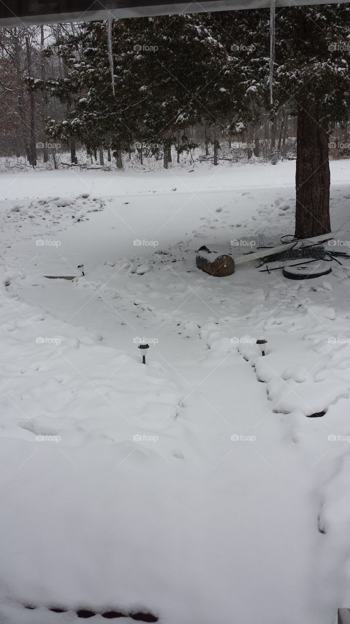 Snowy Path. Driveway