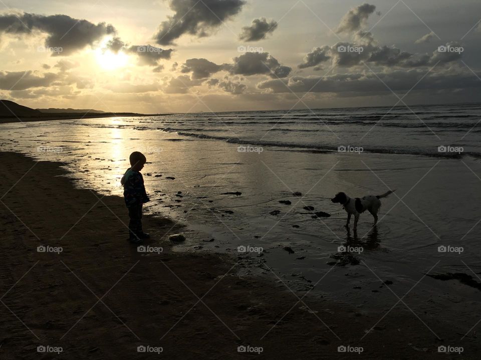 Sunset dog walk on the beach