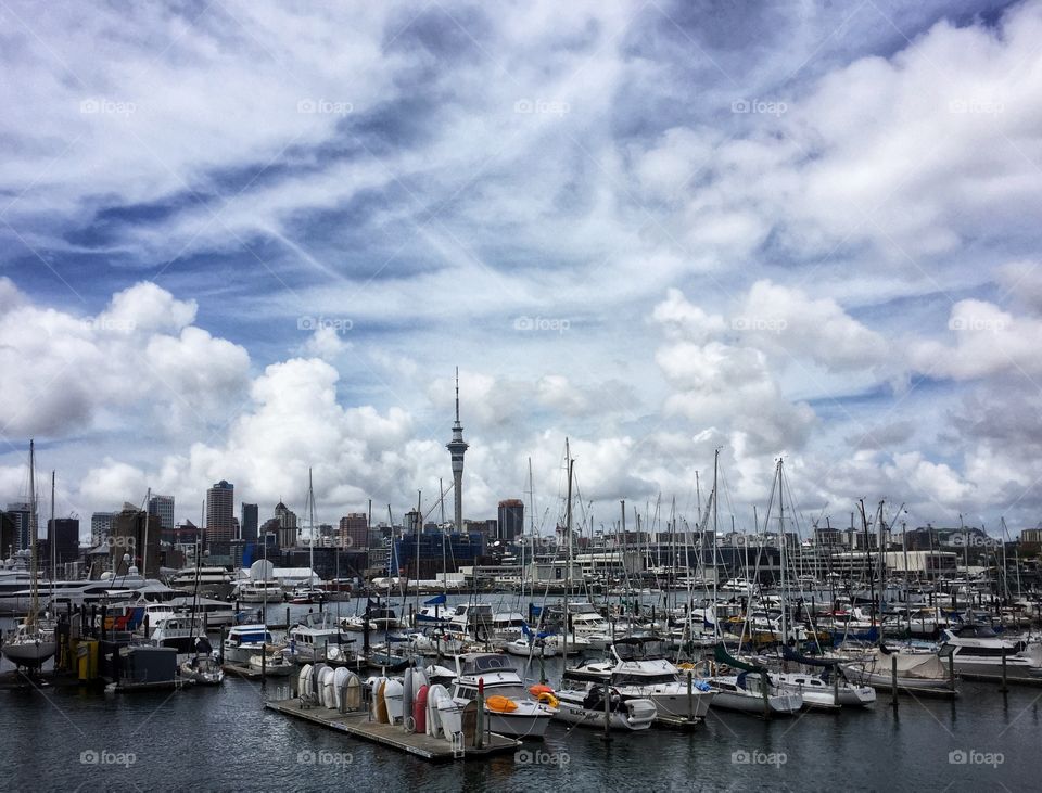 Auckland, New Zealand marina and city skyline 