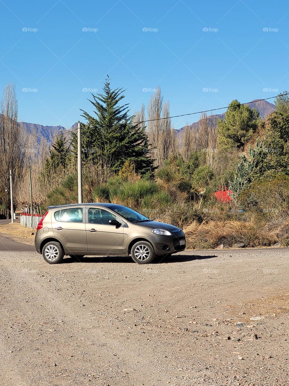 usando el auto