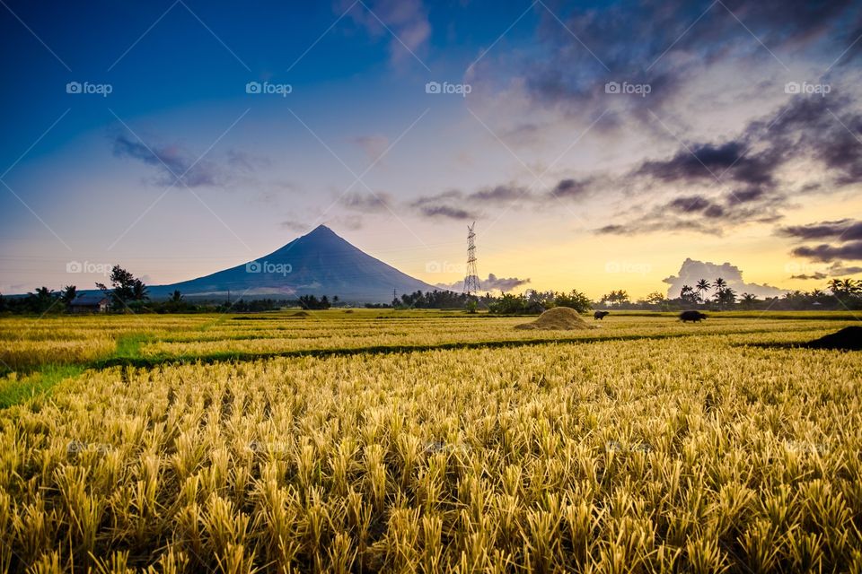 Mayon Volcano