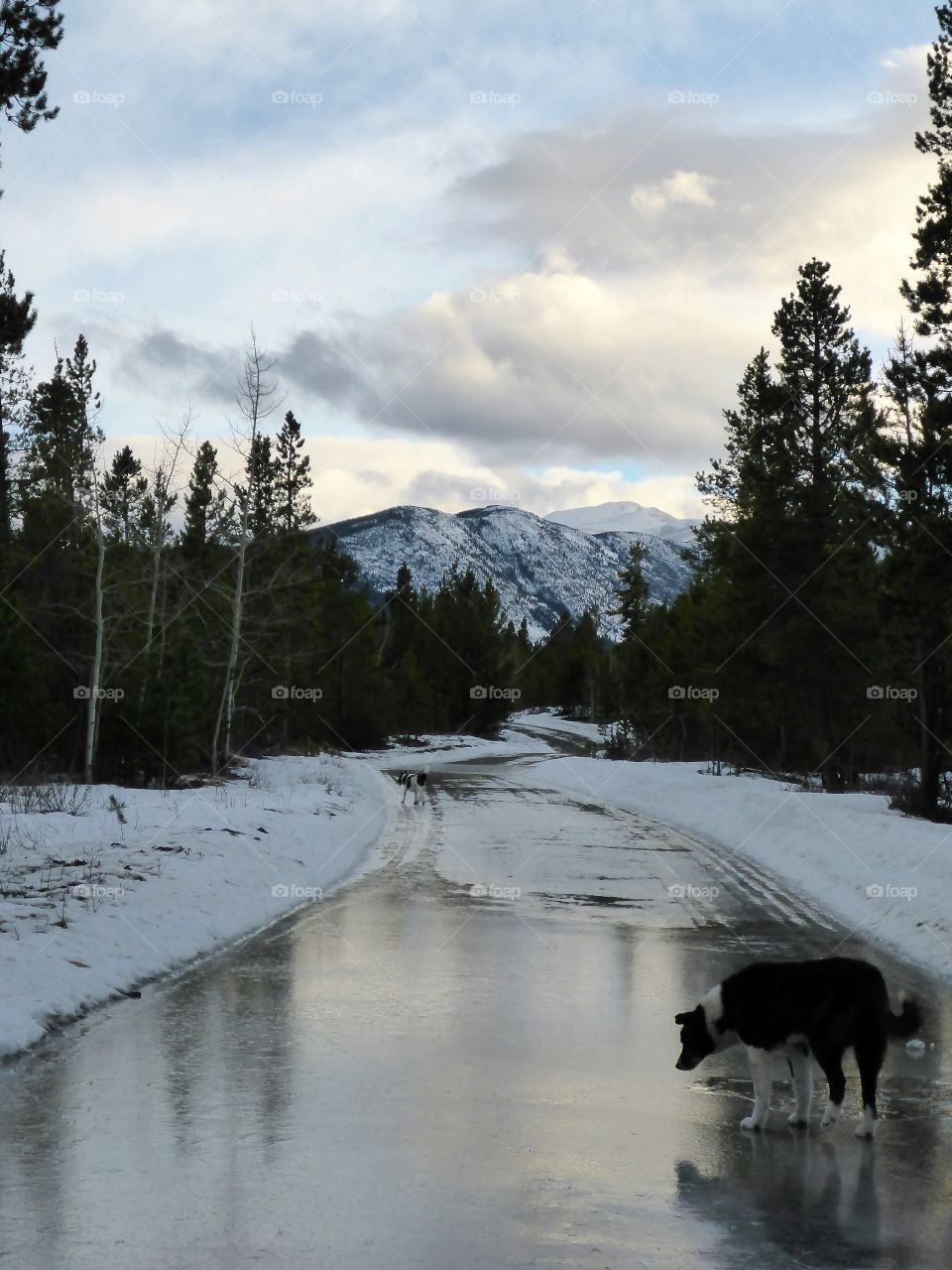 Ice rink road