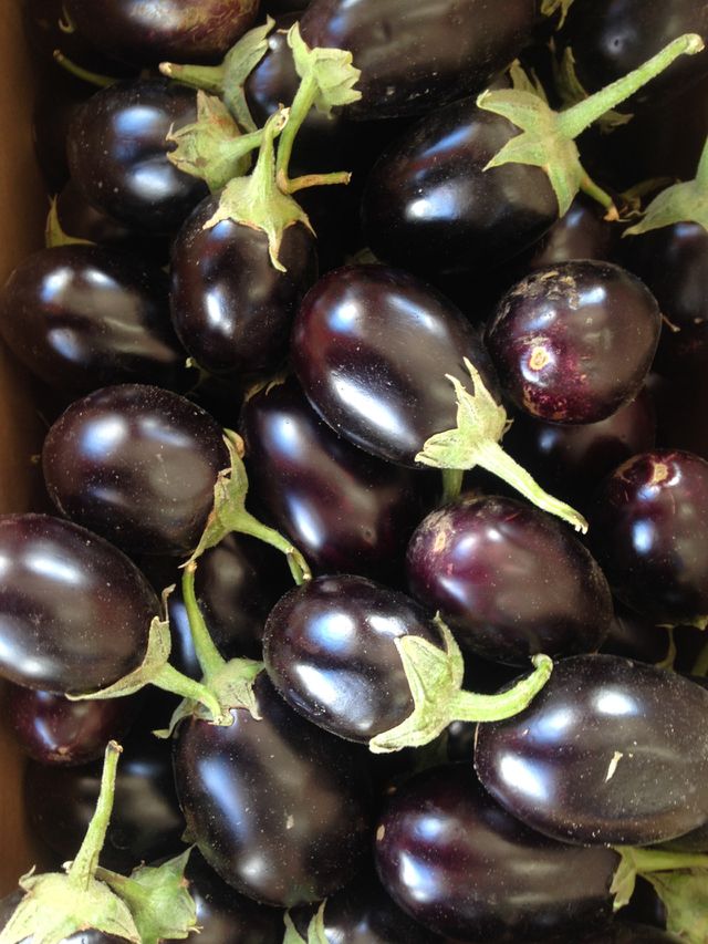 Eggplants galore