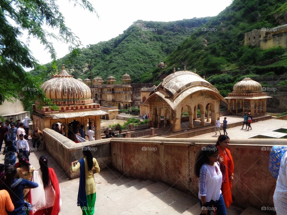 भारत के परिदृश्य