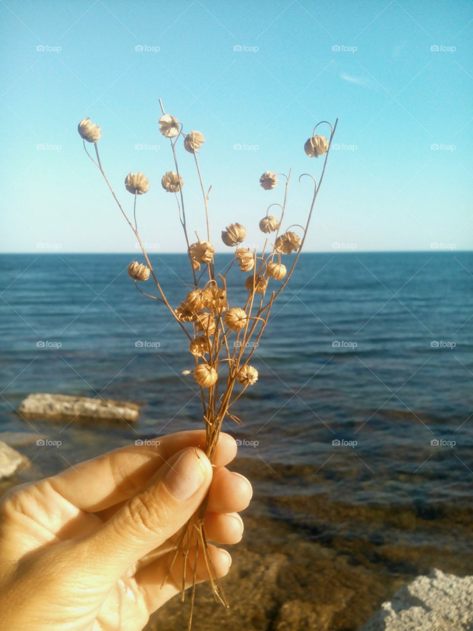 Nature, Water, Summer, Sea, Sky