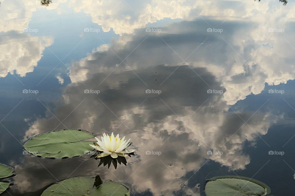 Clouds reflecting on still water