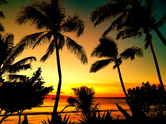 Sunset