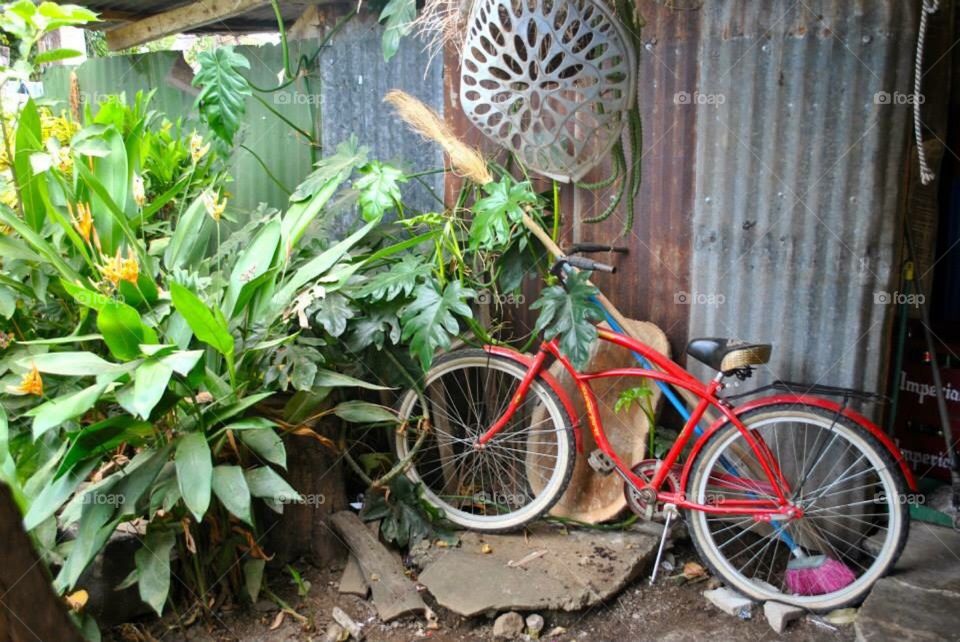 Backyard bicycle 
