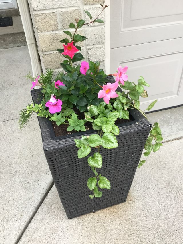 Spring is Here!
