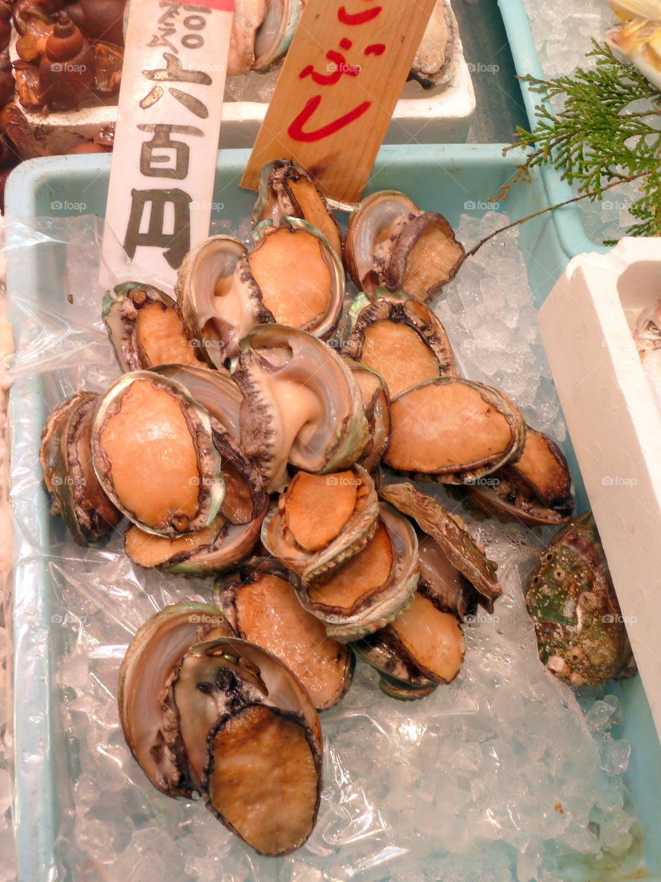 seafood in Kyoto