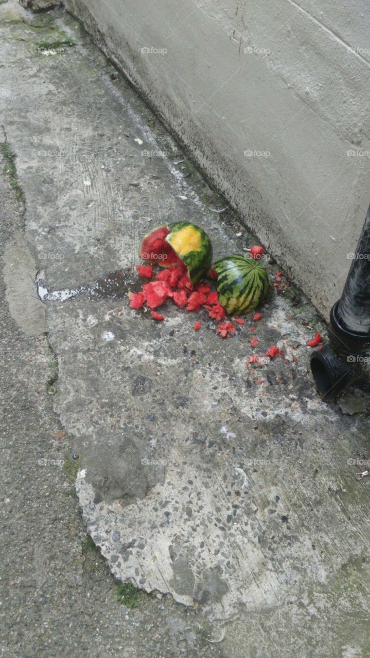 melon broken in a back alley