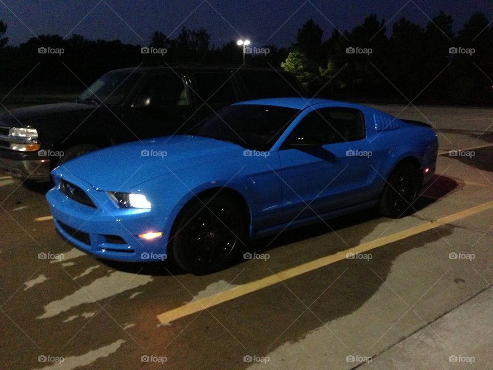 Mustang at Night