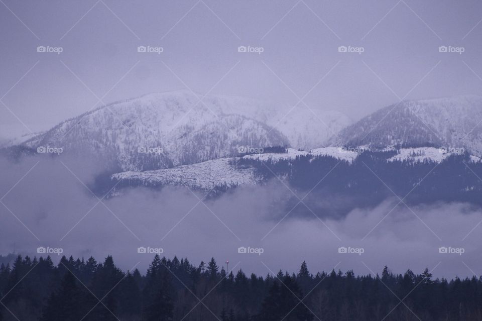 A misty, foggy shot of the snow-covered Pacific Northwest mountains  purple in the waning winter daylight. 