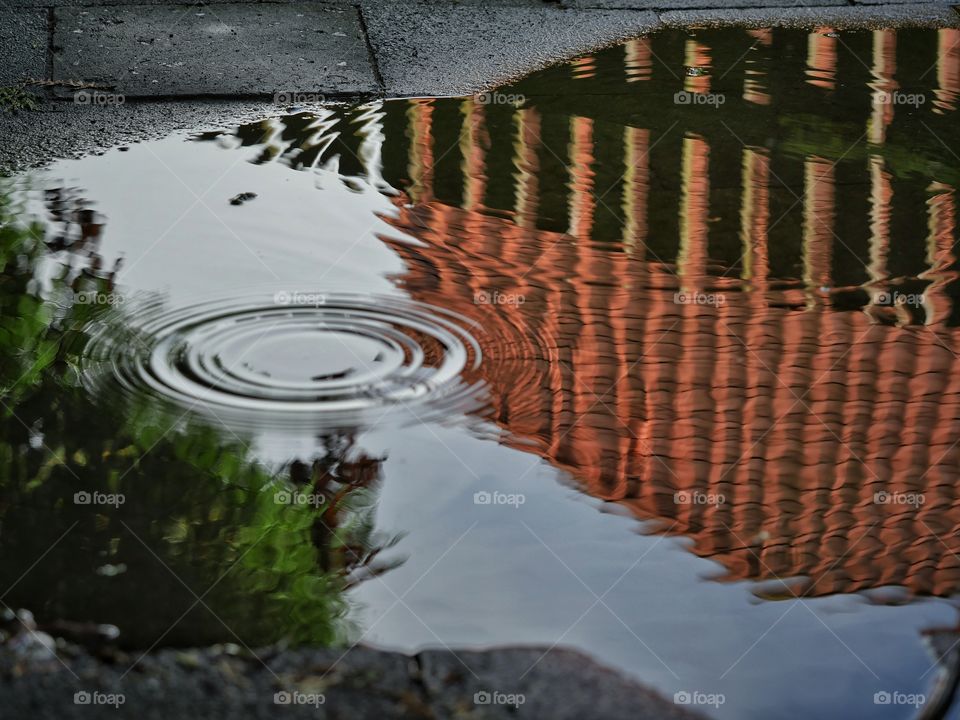 Puddle reflection