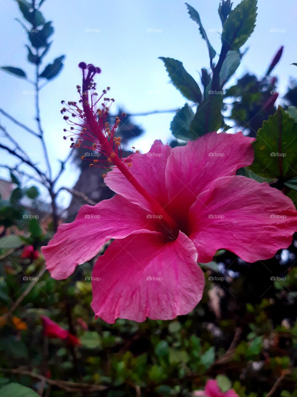 The "Wadda Ghozia" (or "Woda Ghozia") is a term that typically refers to a unique or specific concept in some cultures or dialects. However, I am not familiar with the exact context or meaning in this instance. Could you provide more detailsa12mars20