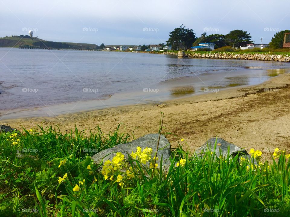 Half Moon Bay, California 