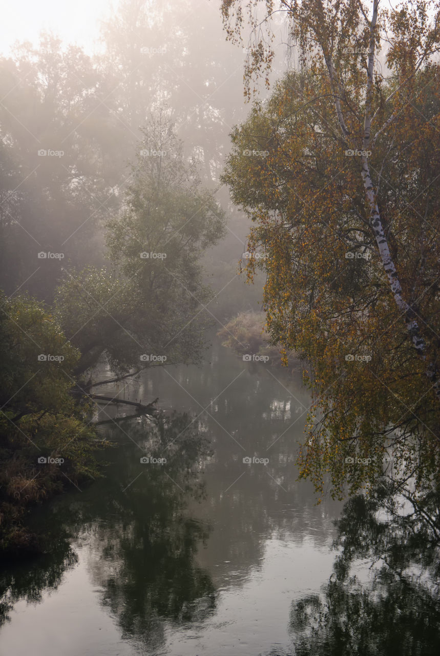 Autumn misty park at early morning 