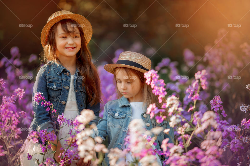 Little sisters in a blossom meadow at sunset 