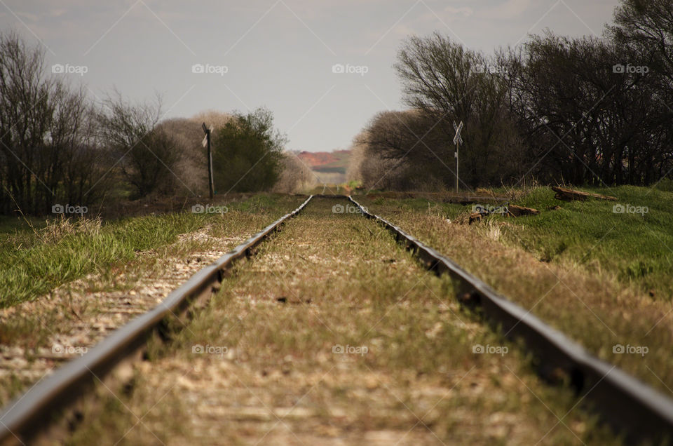 The rail road
