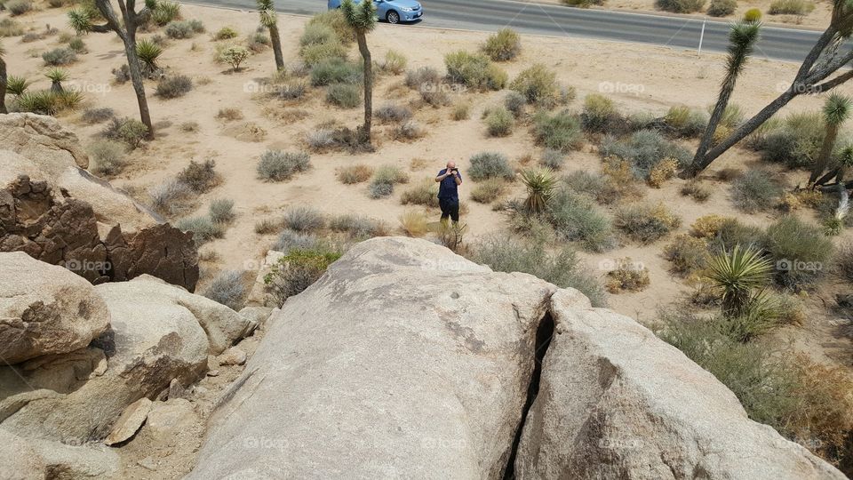 a great shot from a high place after climbing a little bit in Joshua Tree Park