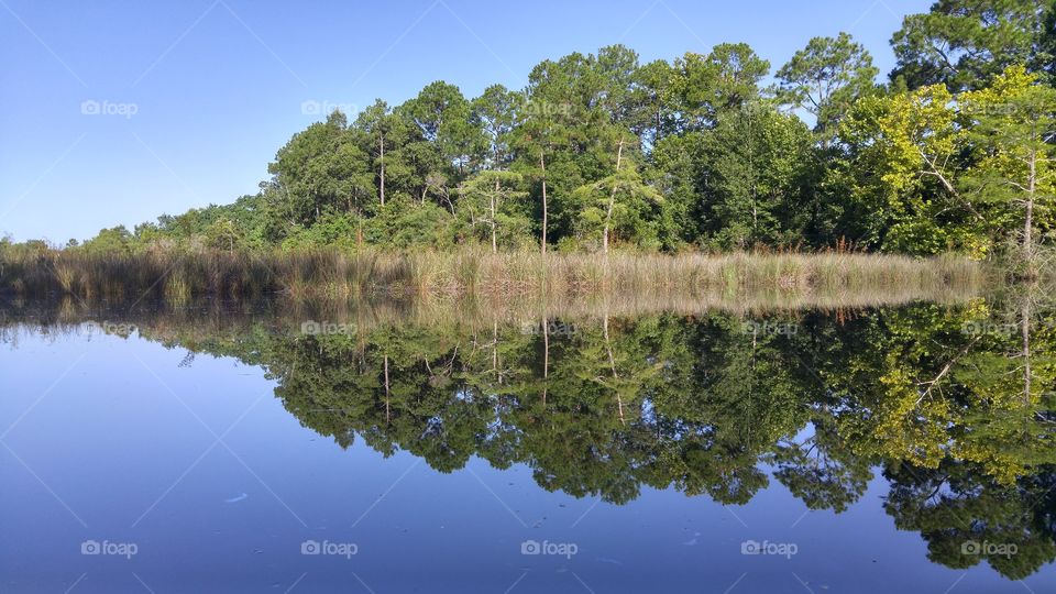 Landscape, Water, Tree, Reflection, Lake