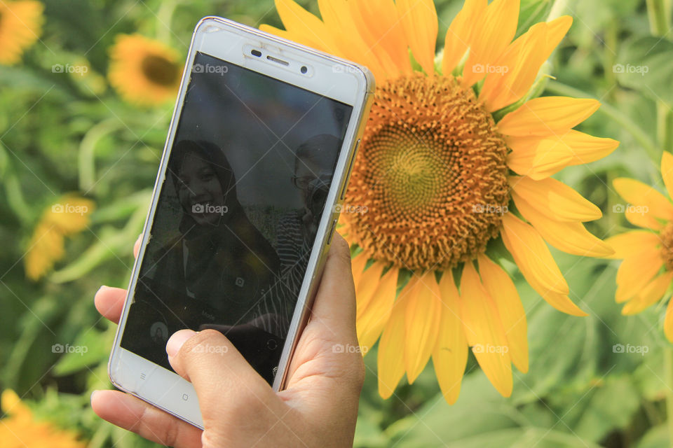 a photo of myself with a phone with the sunflower