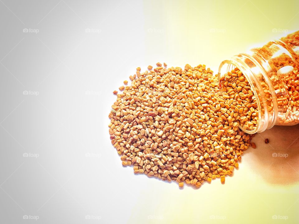 Indian spice: fenugreek seeds