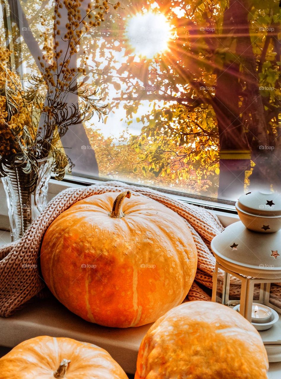 Autumn season beautiful composition of pumpkins, sweets and lantern on the window