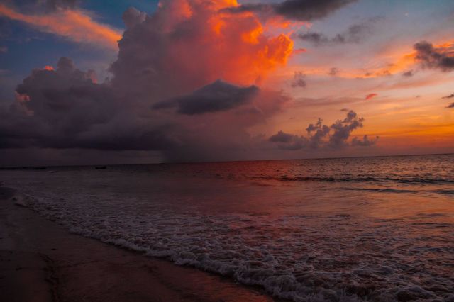 Sea Nature