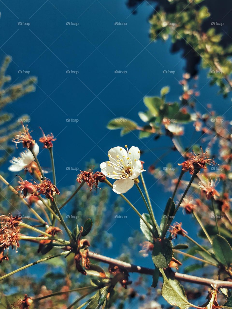 Can never get enough of nature's beauty 🤍